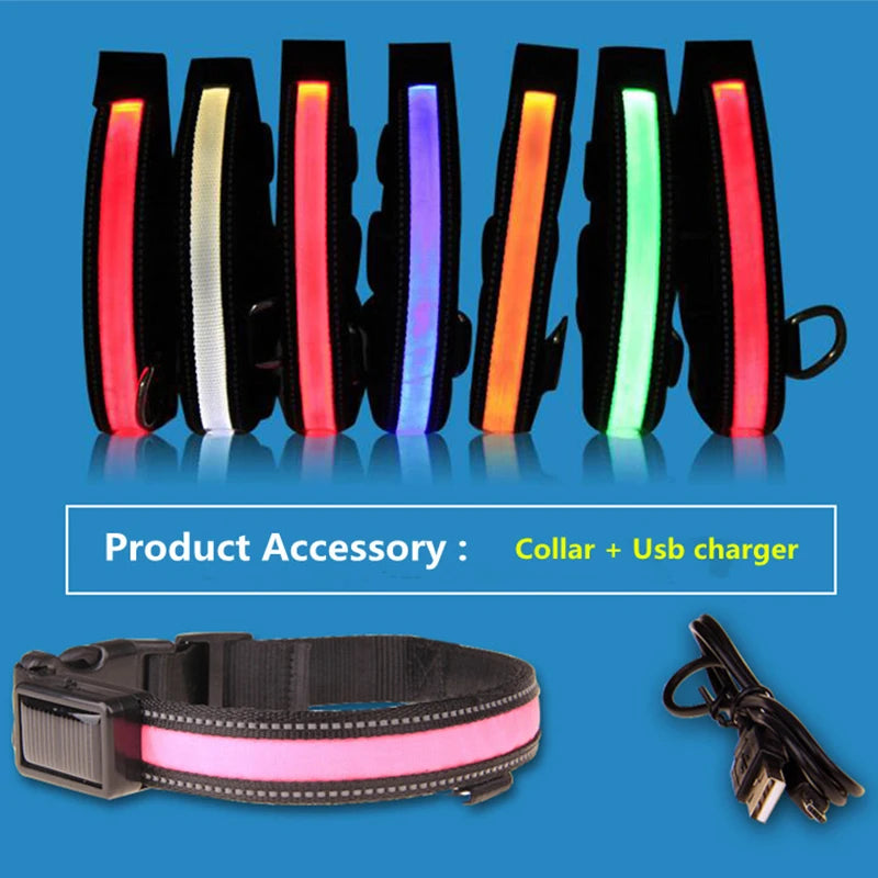 Solar-Powered LED Dog Collar - USB Rechargeable Adjustable Night Safety Light for Pets