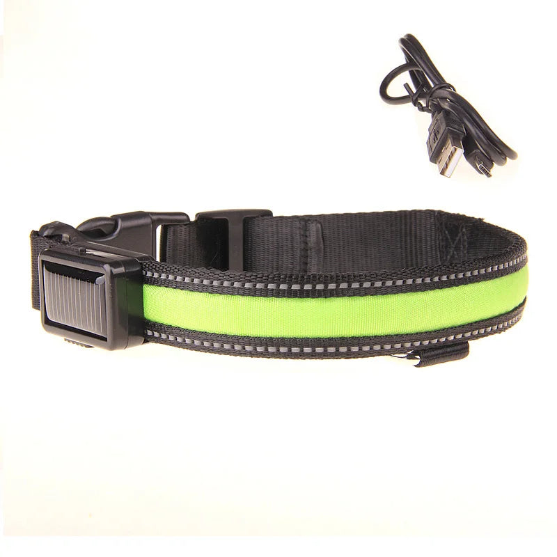 Solar-Powered LED Dog Collar - USB Rechargeable Adjustable Night Safety Light for Pets