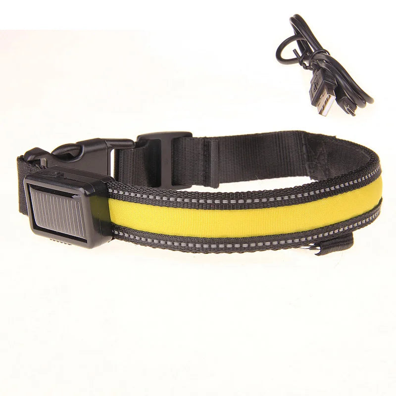 Solar-Powered LED Dog Collar - USB Rechargeable Adjustable Night Safety Light for Pets