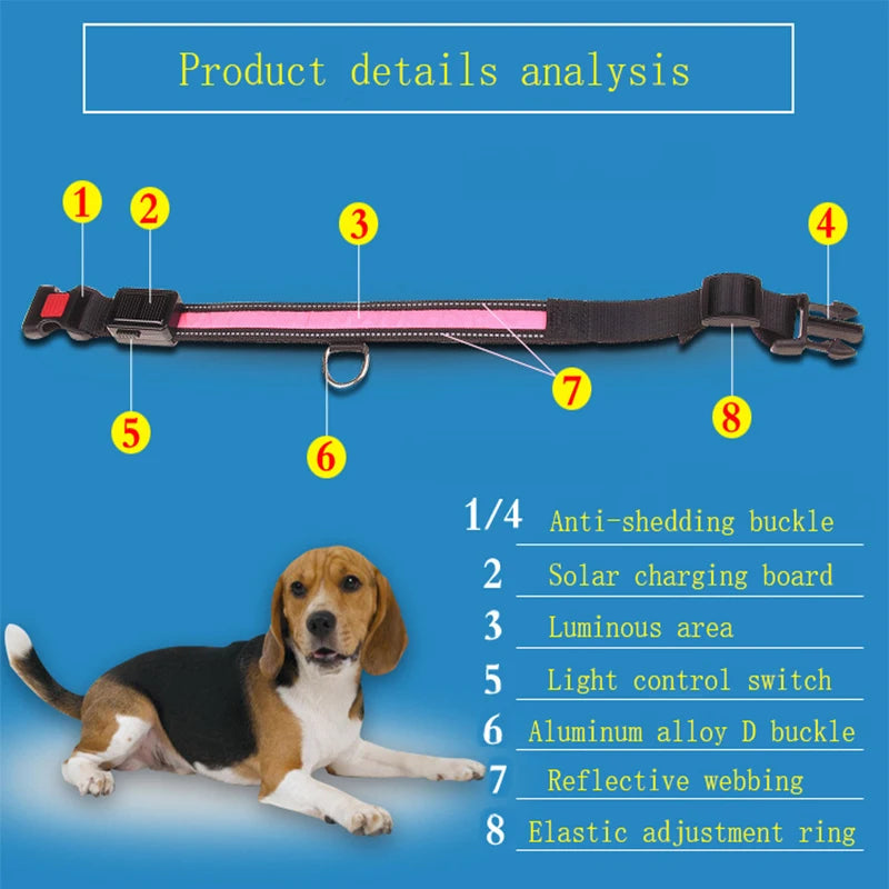 Solar-Powered LED Dog Collar - USB Rechargeable Adjustable Night Safety Light for Pets