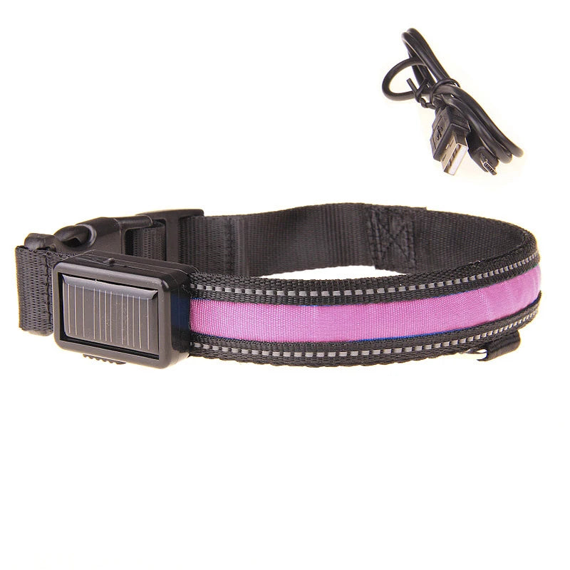 Solar-Powered LED Dog Collar - USB Rechargeable Adjustable Night Safety Light for Pets