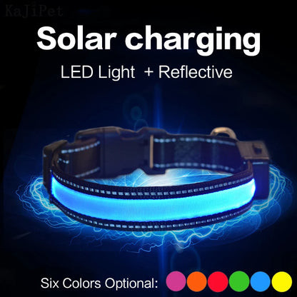 Solar-Powered LED Dog Collar - USB Rechargeable Adjustable Night Safety Light for Pets