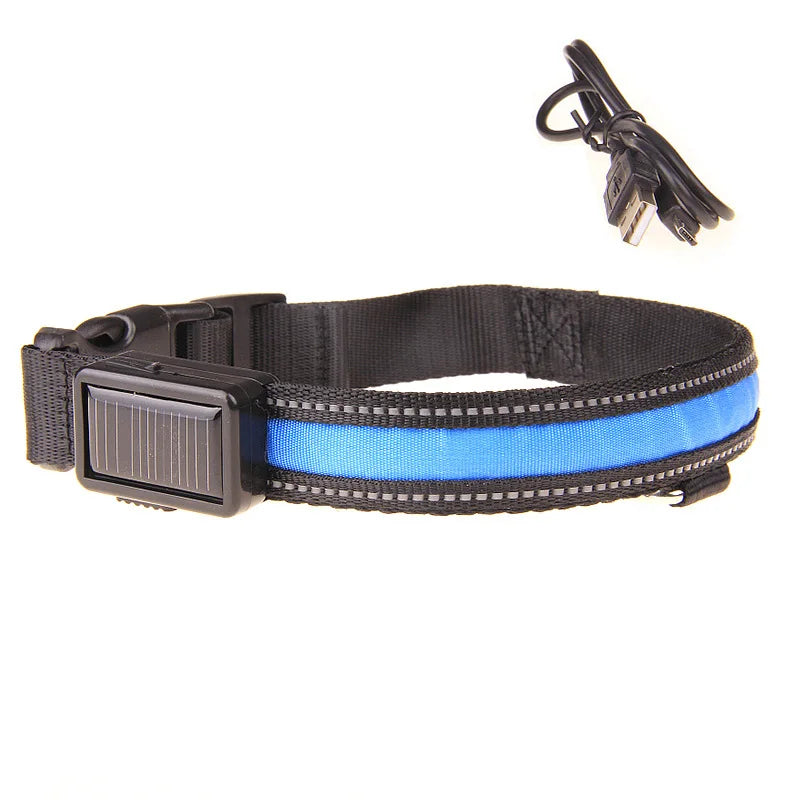 Solar-Powered LED Dog Collar - USB Rechargeable Adjustable Night Safety Light for Pets